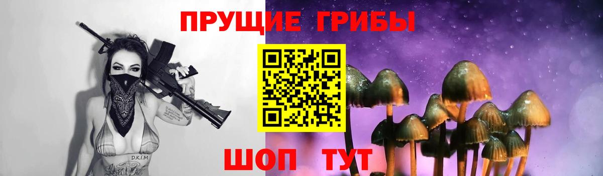 Сарапул  что такое наркотик  Псилоцибиновые грибы Psilocybine cubensis  Вход с VPN  Галлюциногенные грибы мицелий 